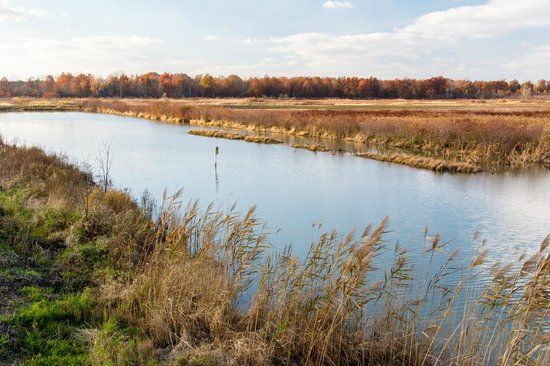Pickerel Creek Wildlife Area