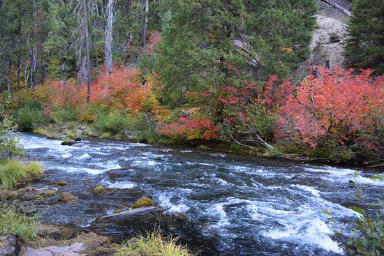 Rogue River