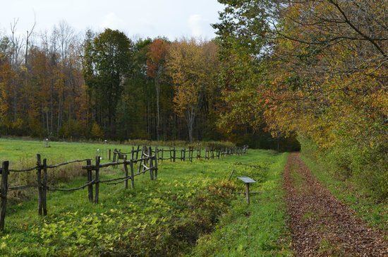 Hopkin's Memorial Forest