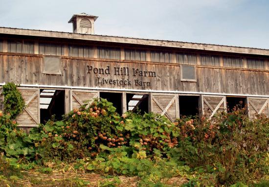 Pond Hill Farm