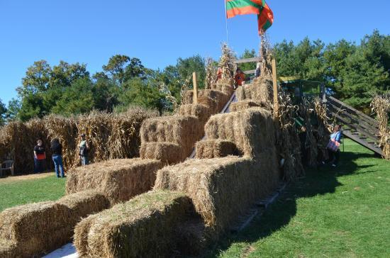 Freddy Hill Farms and Family Fun Center