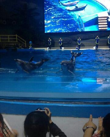 Polar Ocean World Wuhan