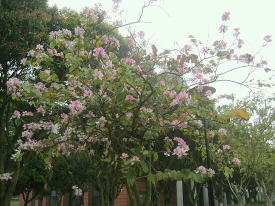Heshan Park