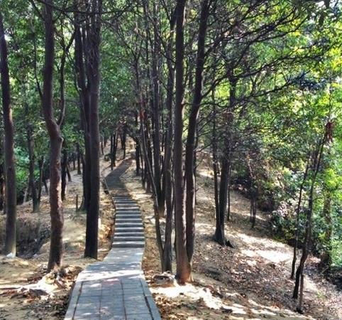 Huolu Mountain Forest Park