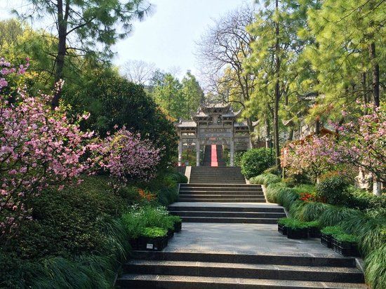 Wansong Academy of Classical Learning