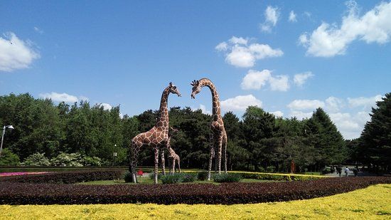 Zoological and Botanical Garden of Changchun