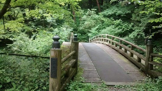 Nikko Botanical Garden