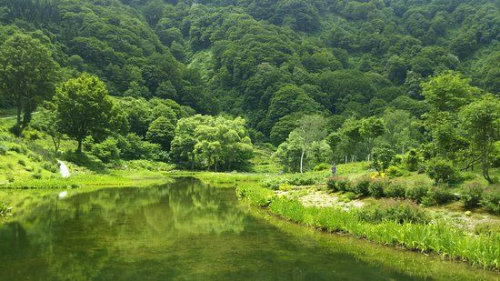 Yuzawa Highland Alpine Garden