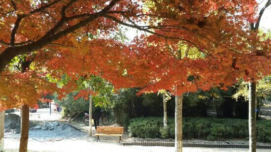 Wenzhou Lecheng Eight Views