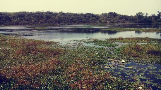 Sangram Sagar Lake