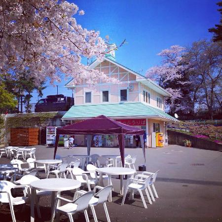 Maebashi City Central Children's Amusement Park