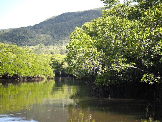 Nakama-river Protected Region