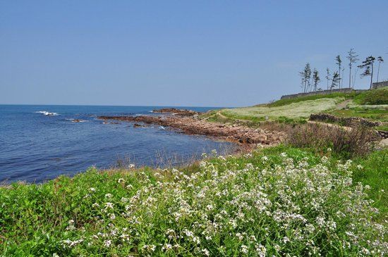 Mikunicho Seaside Nature Park