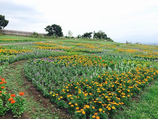 Kuju Flower Park