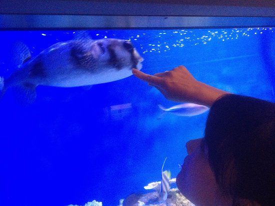 Gamagori City Takeshima Aquarium