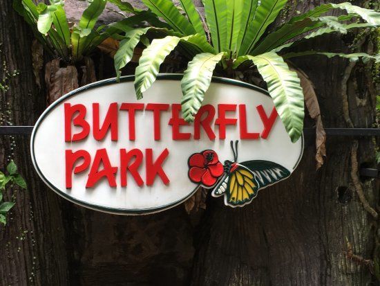 Butterfly Park & Insect Kingdom