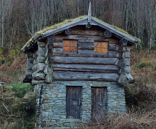 Heart of Argyll Wildlife Organisation