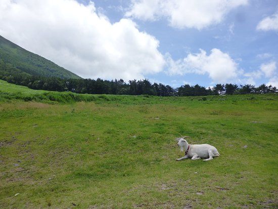 Daisen Masumizu-kogen Ski Resort