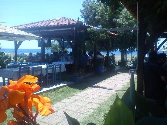 Taverna Leon