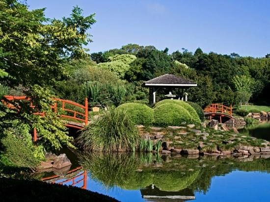 Japanese Garden