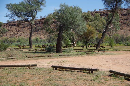 Mutawintji National Park