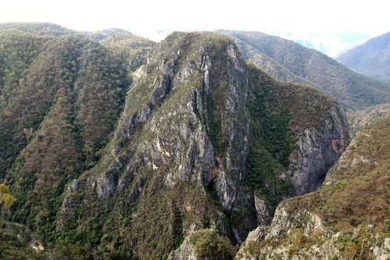 Bungonia State Conservation Area