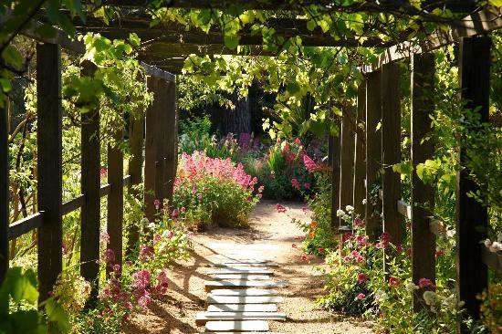 Buda Historic Home and Garden