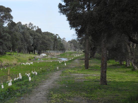 Crinigan Bushland Reserve