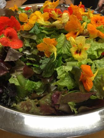 Wolfville Farmer's Market