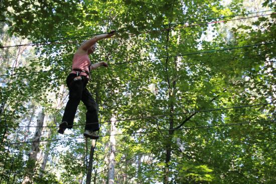 Arbre en Arbre Shawinigan