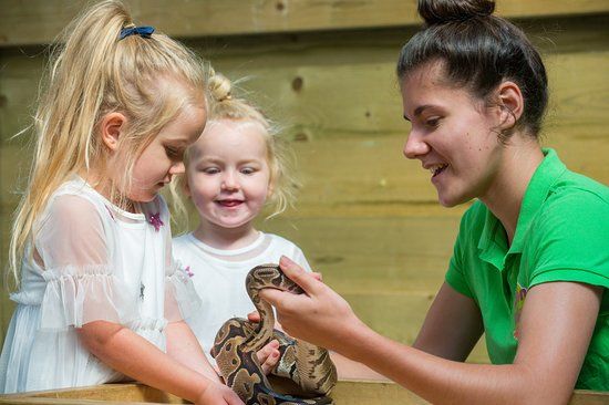 Avon Valley Adventure and Wildlife Park