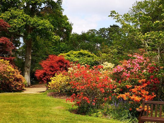 Exbury Gardens