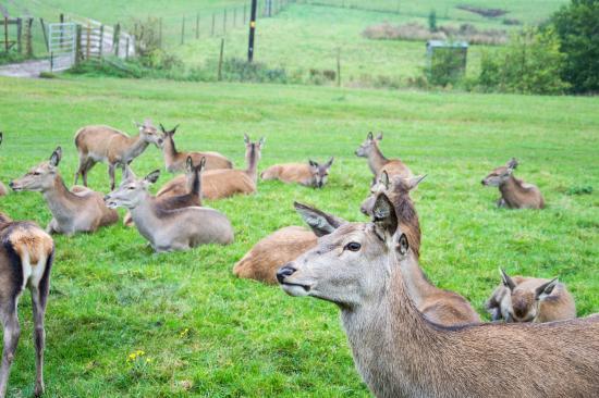 Snettisham Beach Park