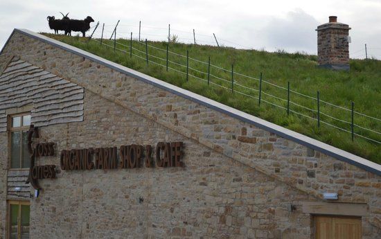 Cross Lanes Organic Farm