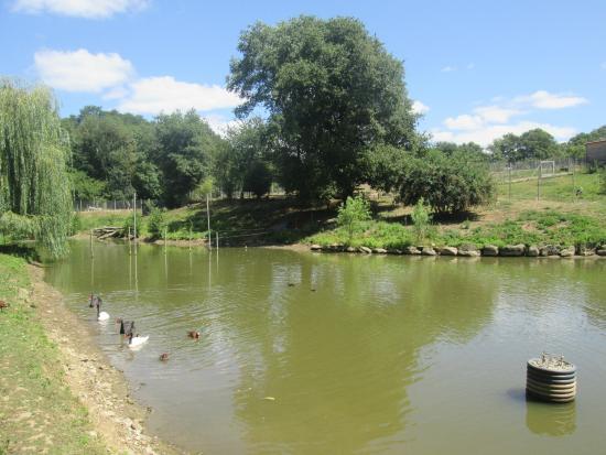 Parc et Conservatoire de la Bottiere