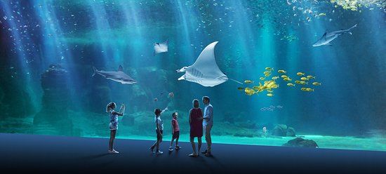 Nausicaa National Sea Center