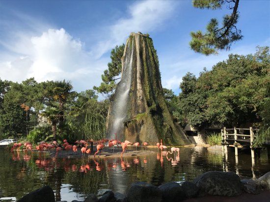 Zoo La Palmyre