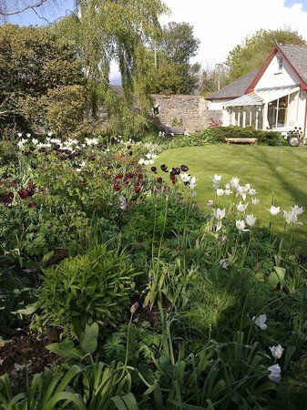 Woodland Cottage Garden