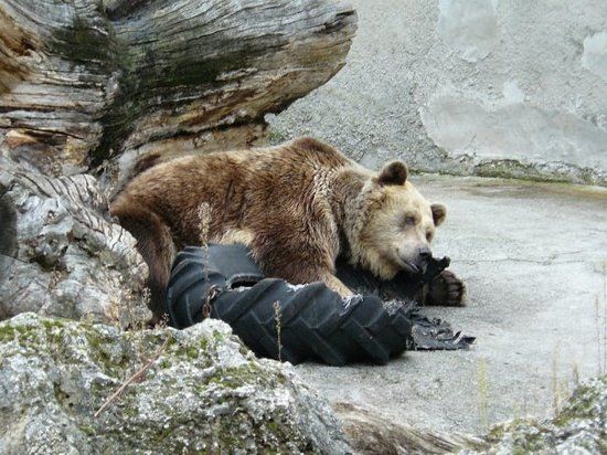 Narodna zoologicka zahrada Bojnice