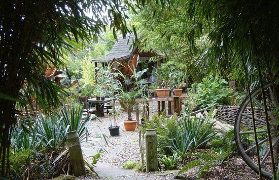 Henstead Exotic Garden