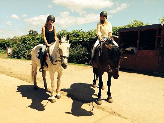 Burley Manor Riding Stables