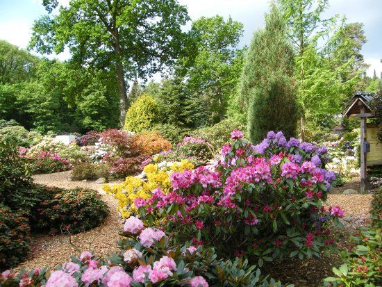 Rhododendronpark Hobbie