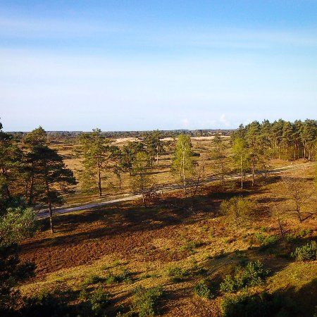National Park Drents-Friese Wold