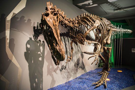 Aathal Dinosaur Museum