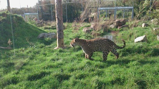 South Lakes Safari Zoo