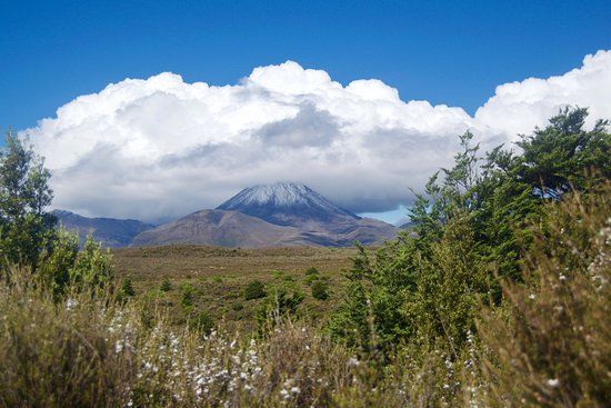 Mt Ruapehu