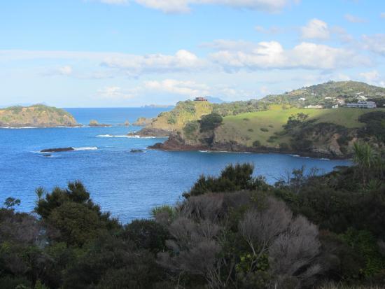 Tutukaka Headland
