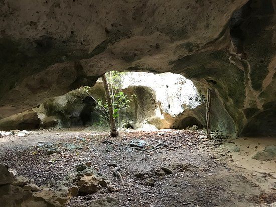 Rebecca's Cave