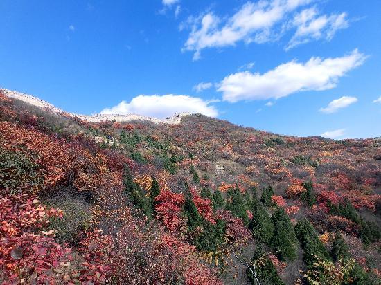 Badaling National Forest Park