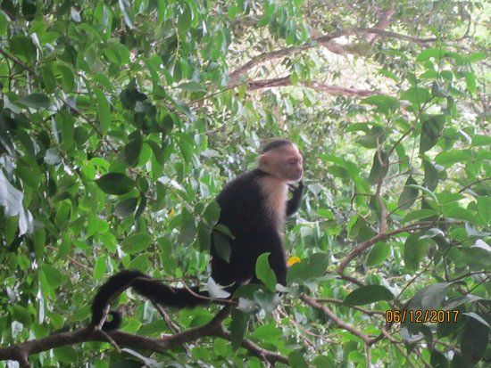 Manuel Antonio National Park